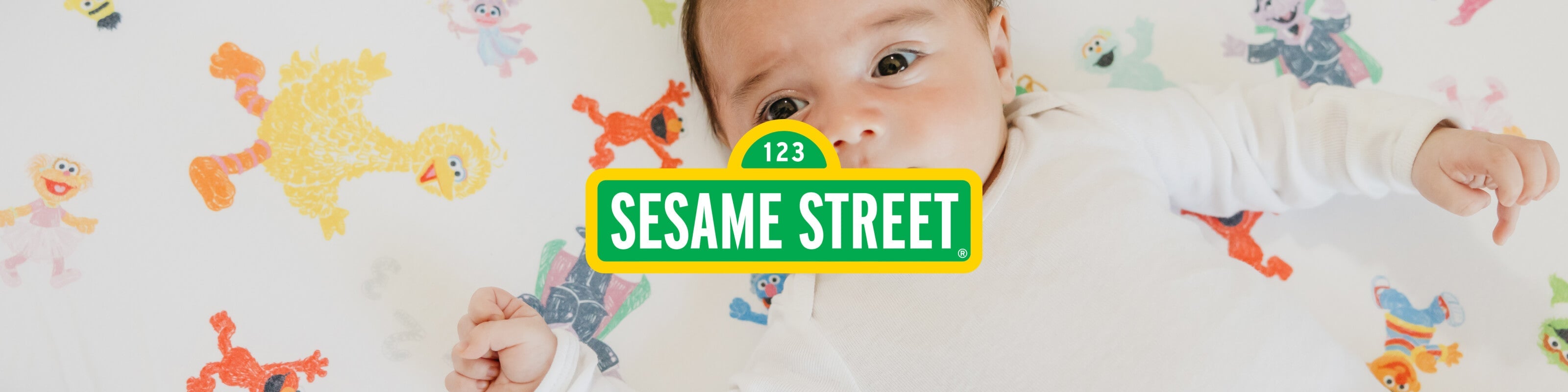 Sesame Friends
