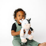 Squish Plush - Colby
