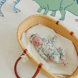 Footed Baby Pants - Dinosaurs of Jurassic Park