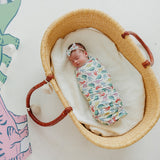 Ribbon Baby Bow - Dinosaurs of Jurassic Park