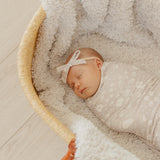 Ribbon Baby Bow - Tracker