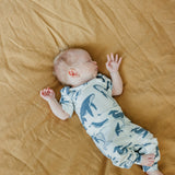Baby Pants - Cove