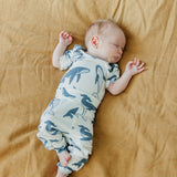 Baby Pants - Cove