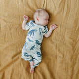 Baby Pants - Cove