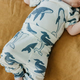 Baby Pants - Cove